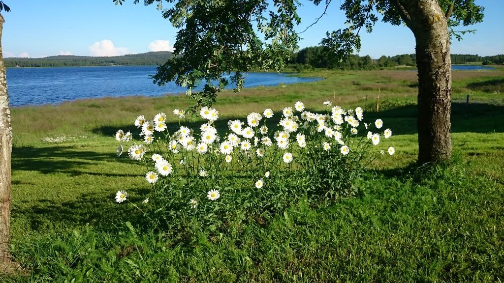 Korpikylä Nivagarden 빌라 외부 사진
